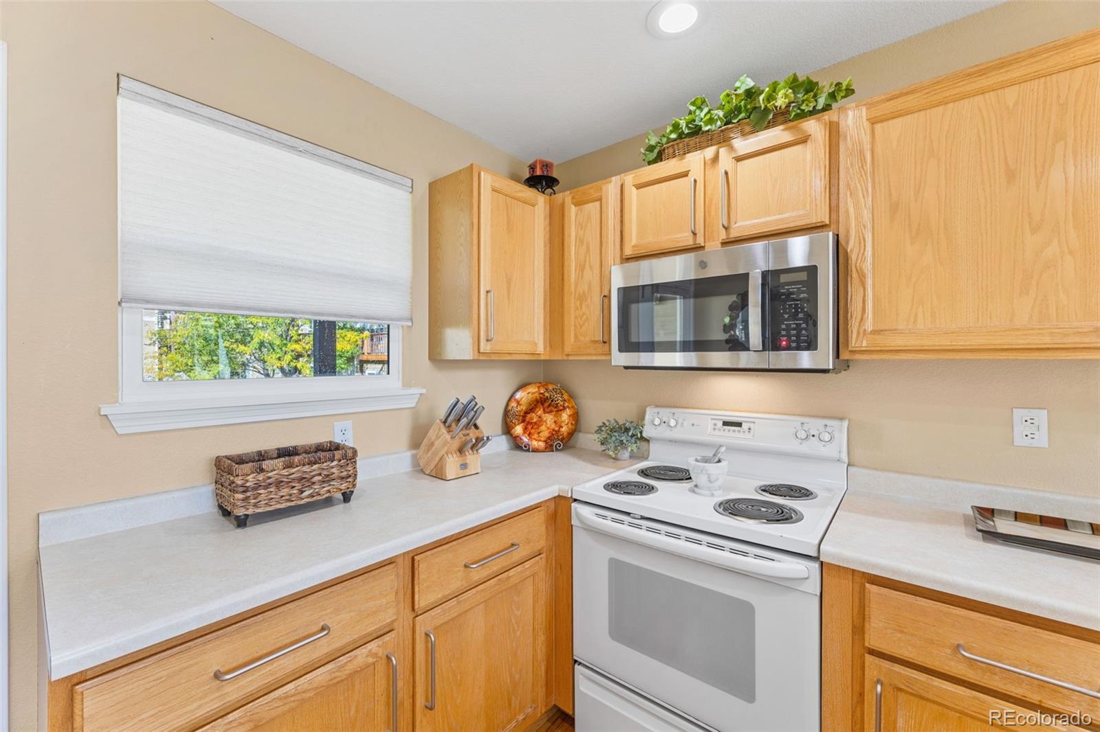 1677 High Plains Court