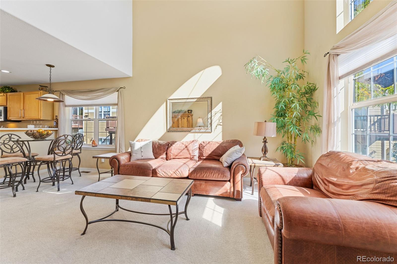 1677 High Plains Court