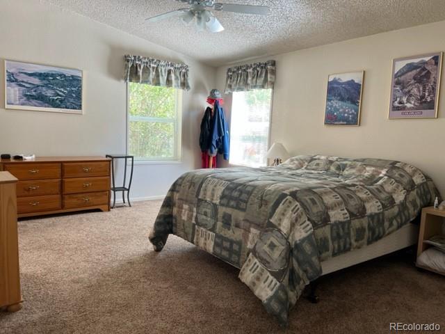 28965 County Road 331