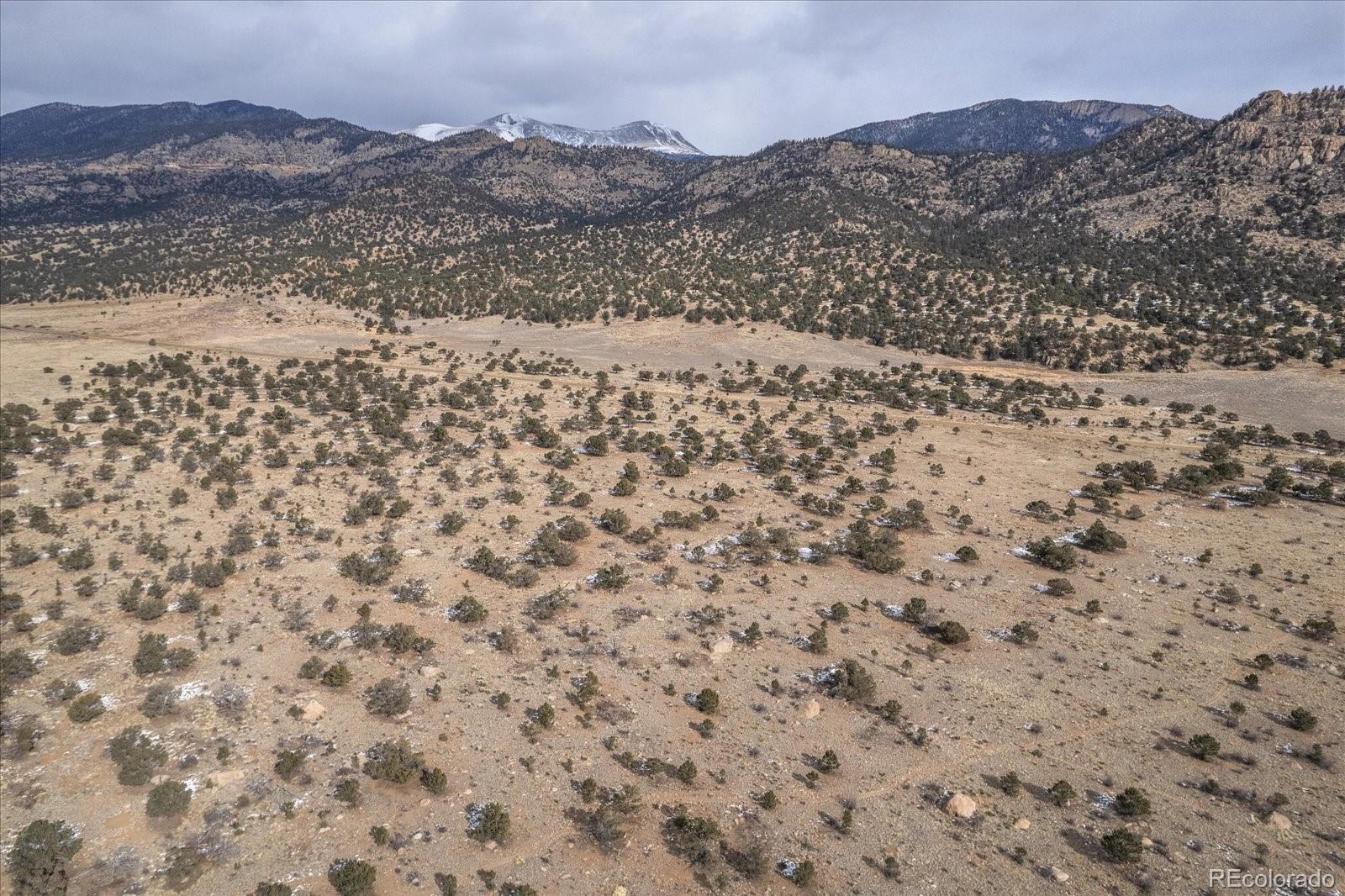 33563 Mt Harvard Circle