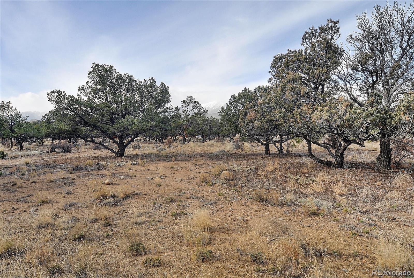 33563 Mt Harvard Circle