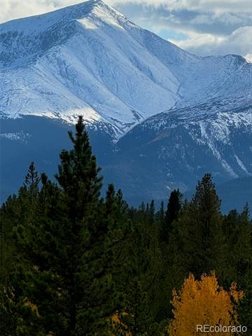 670 Alpine Cirque