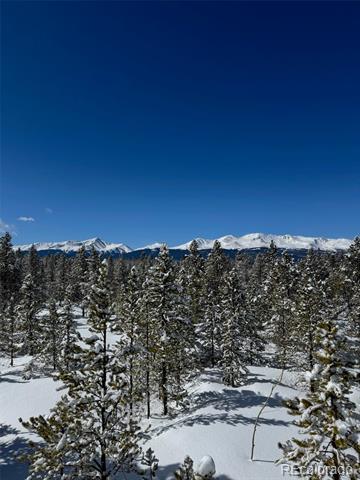 670 Alpine Cirque
