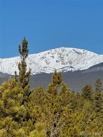 670 Alpine Cirque