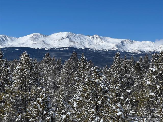 670 Alpine Cirque