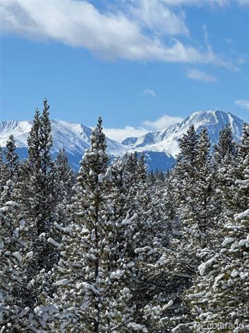 670 Alpine Cirque