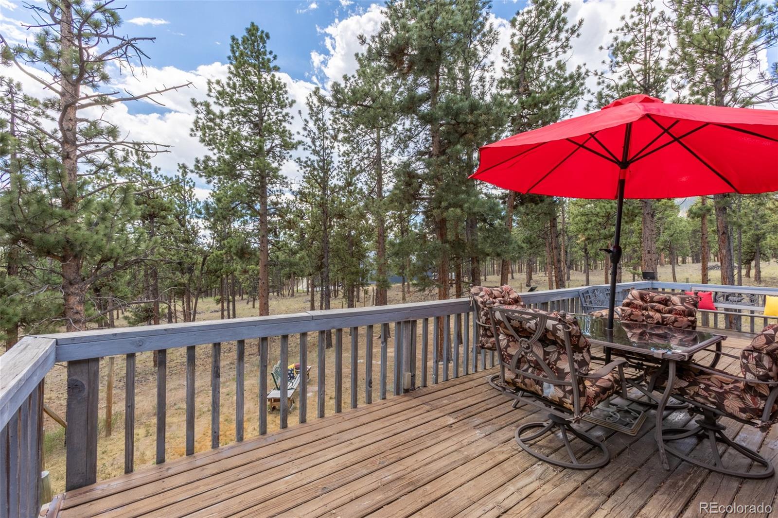 16530 Mt Princeton Road