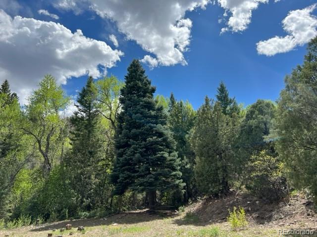 1412 County Road 48