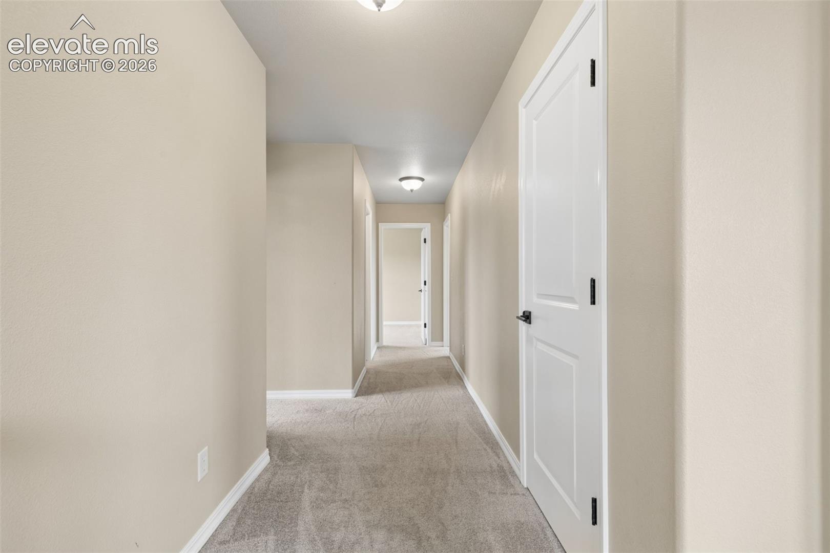5011 Petrified Forest Trail