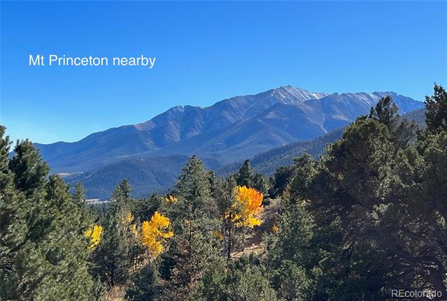 30267 Princeton Hills