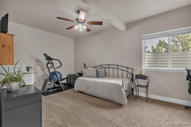 4466 Dusty Pine Trail
