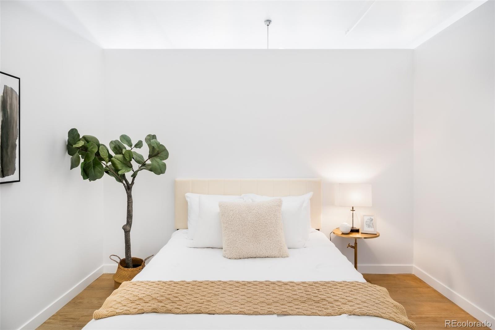 1521 Central Street Unit: 1B