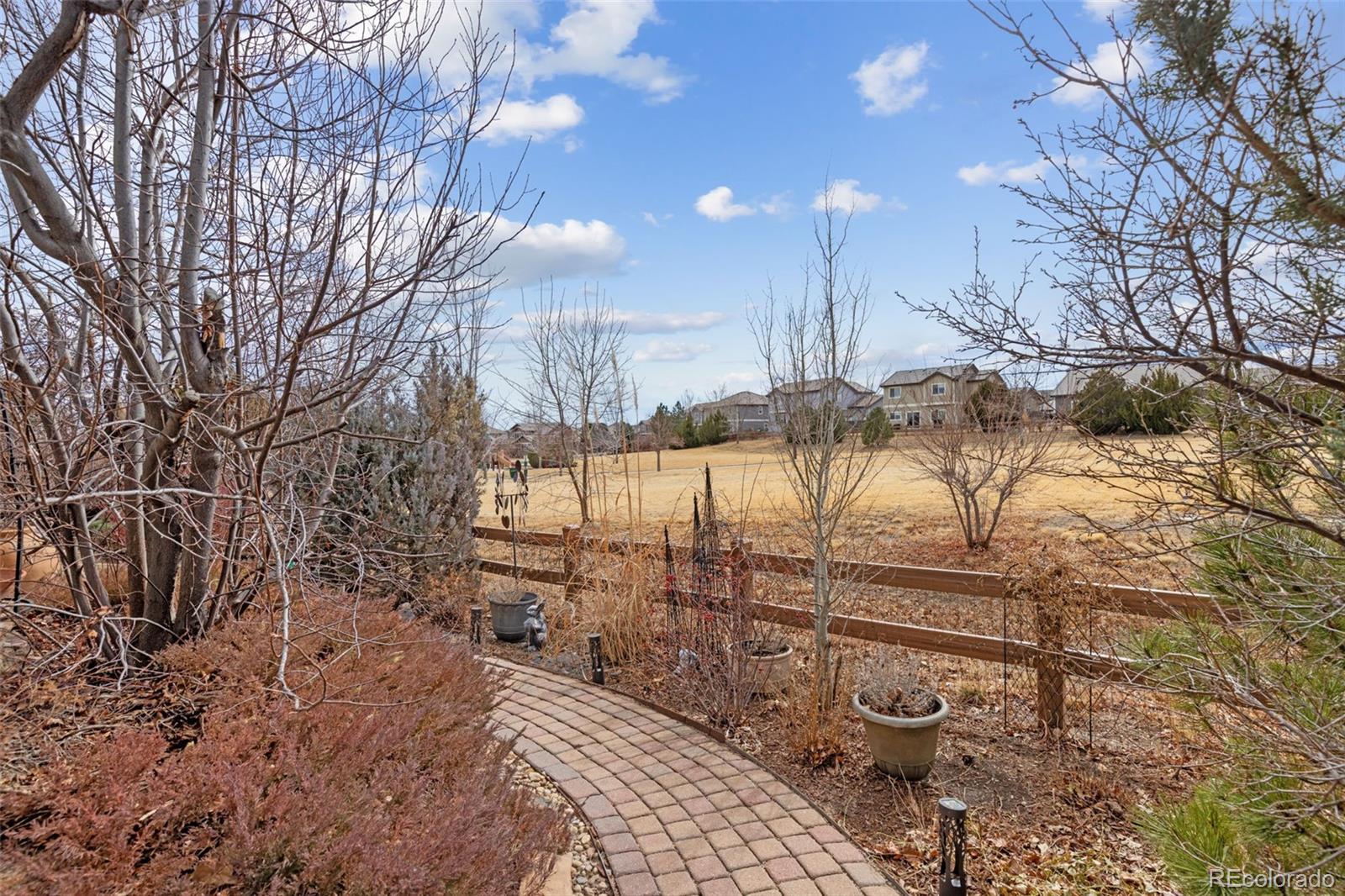 16498 E Black Horn Drive