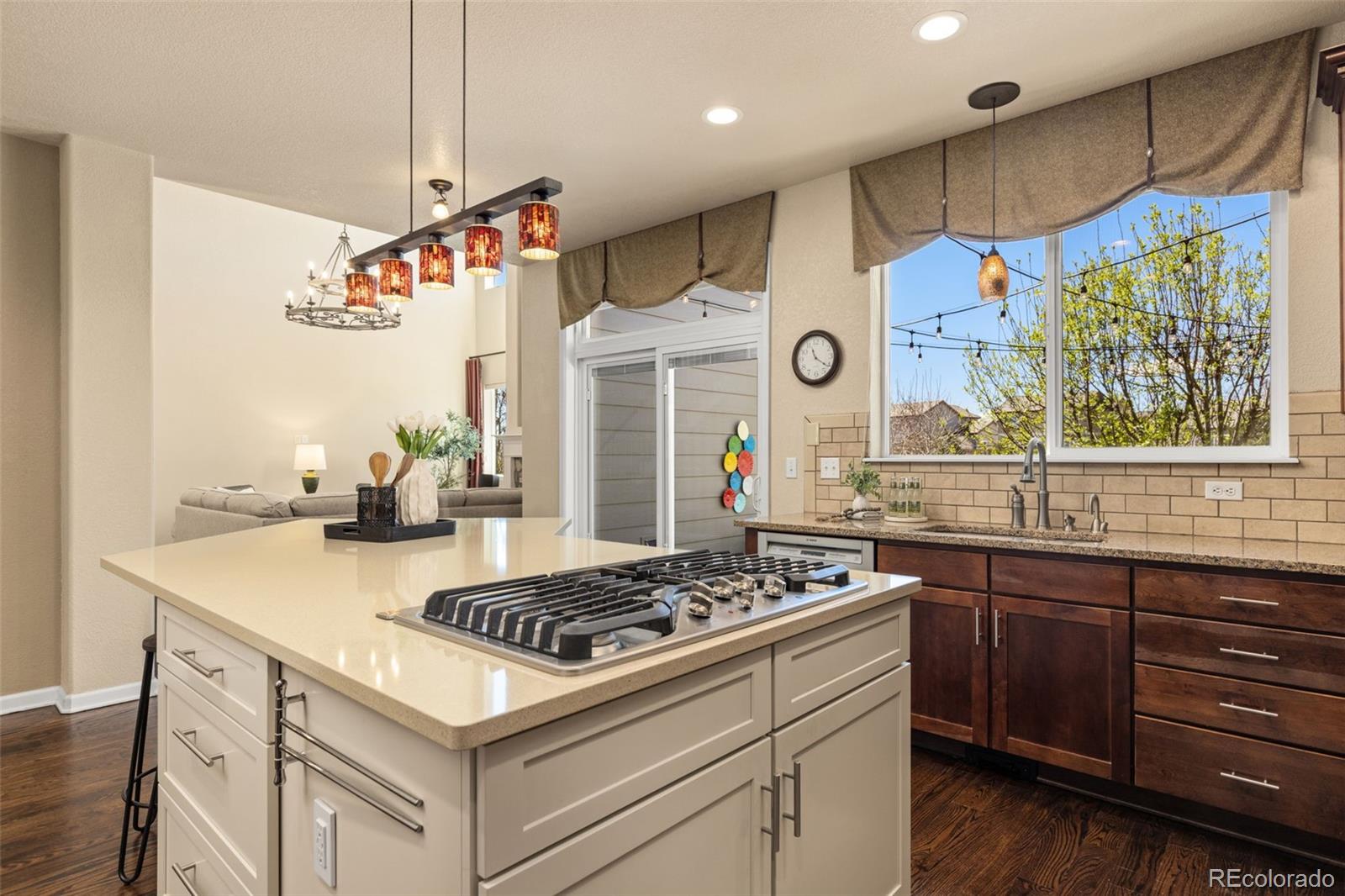 16498 E Black Horn Drive