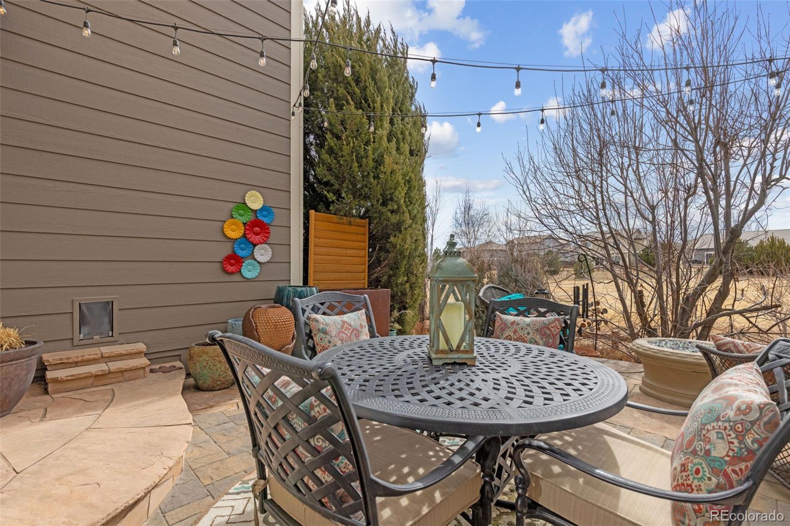 16498 E Black Horn Drive