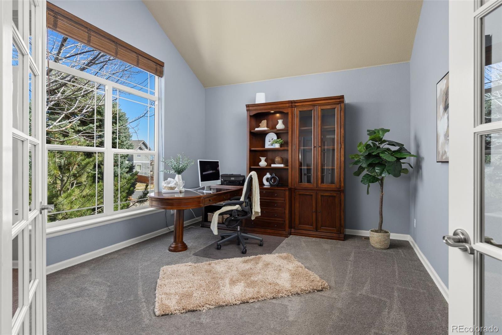 16498 E Black Horn Drive