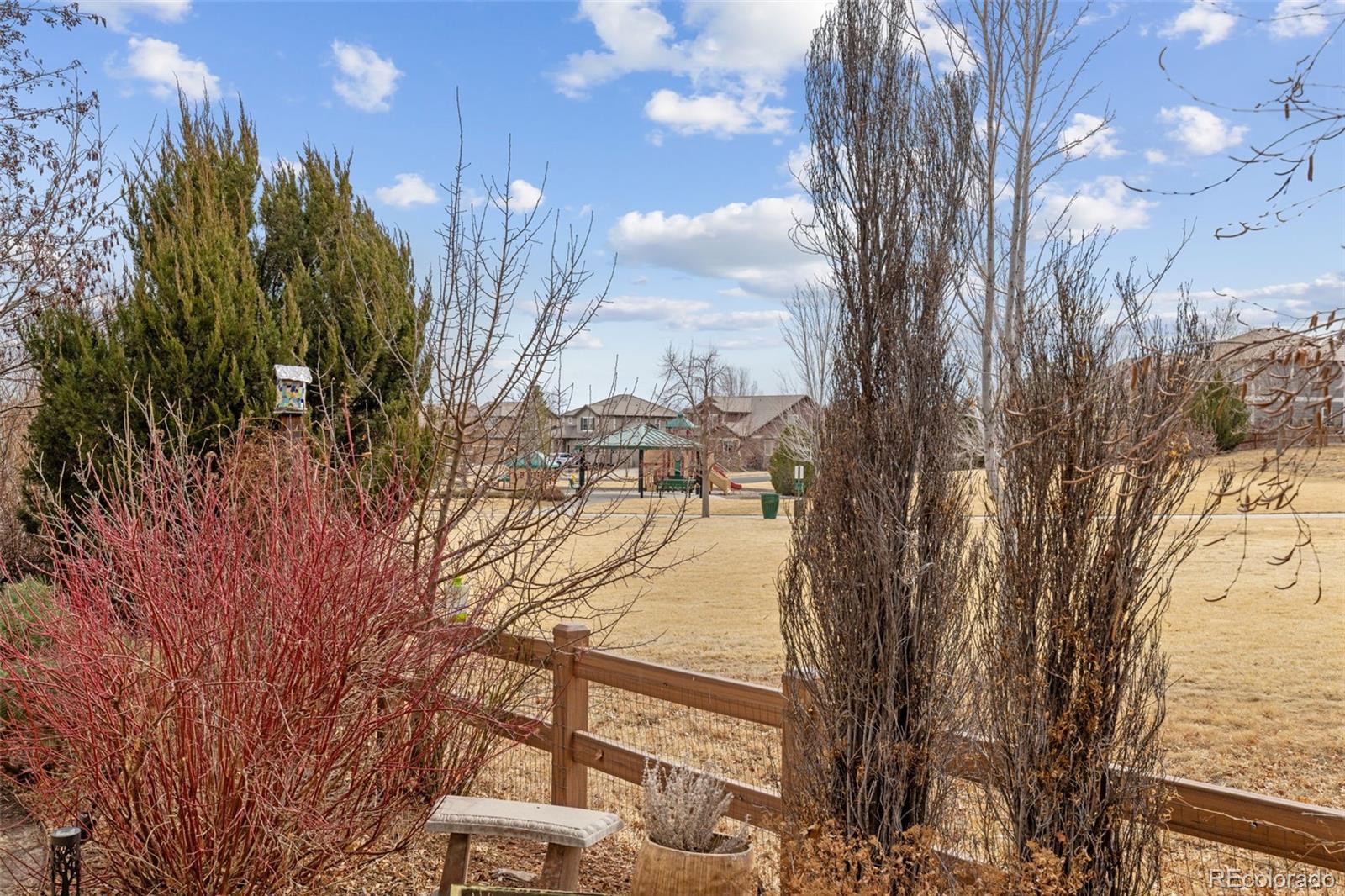 16498 E Black Horn Drive