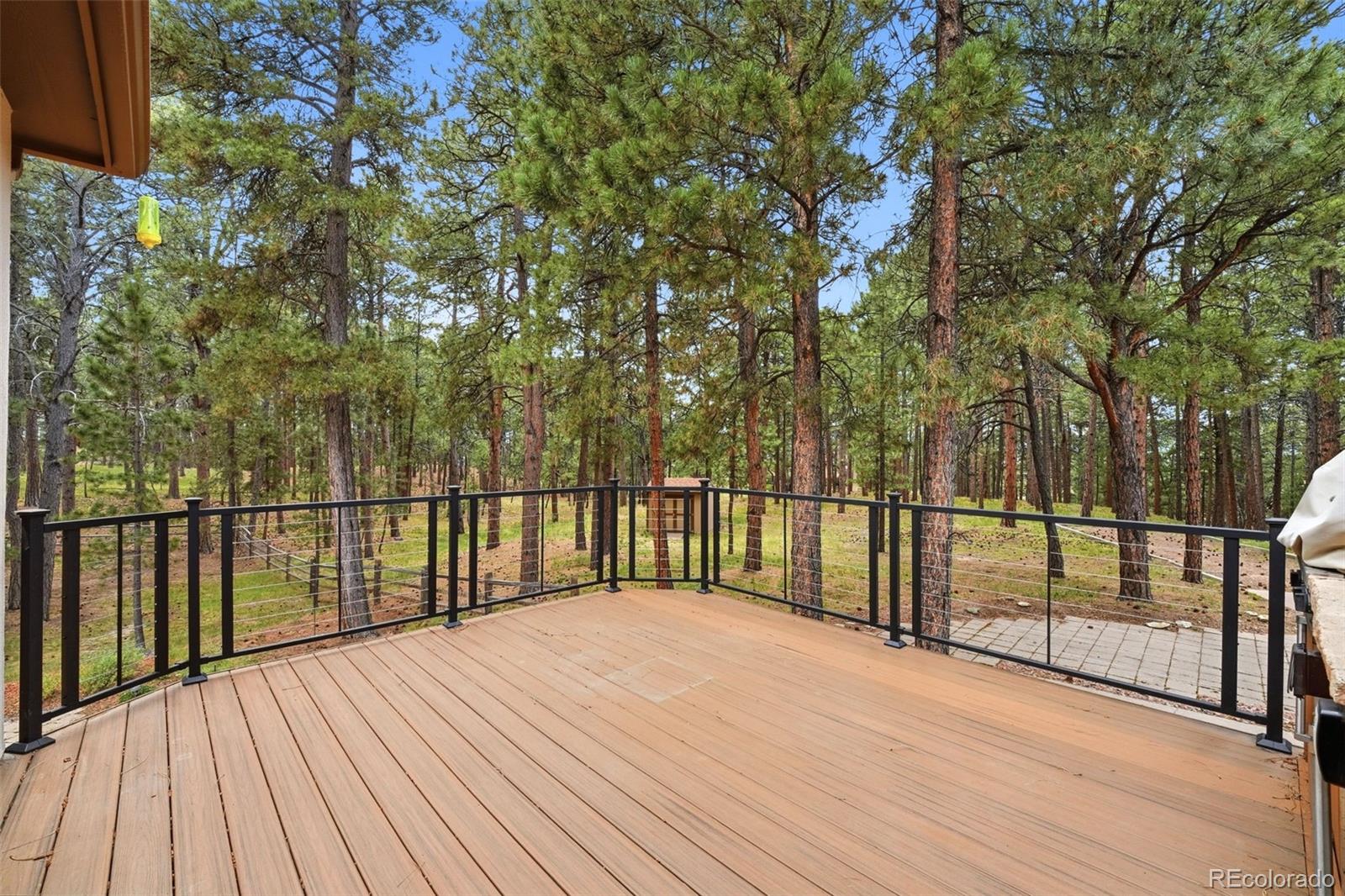 3925 Wavy Oak Drive