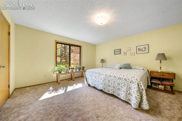 18125 Red Rocks Drive