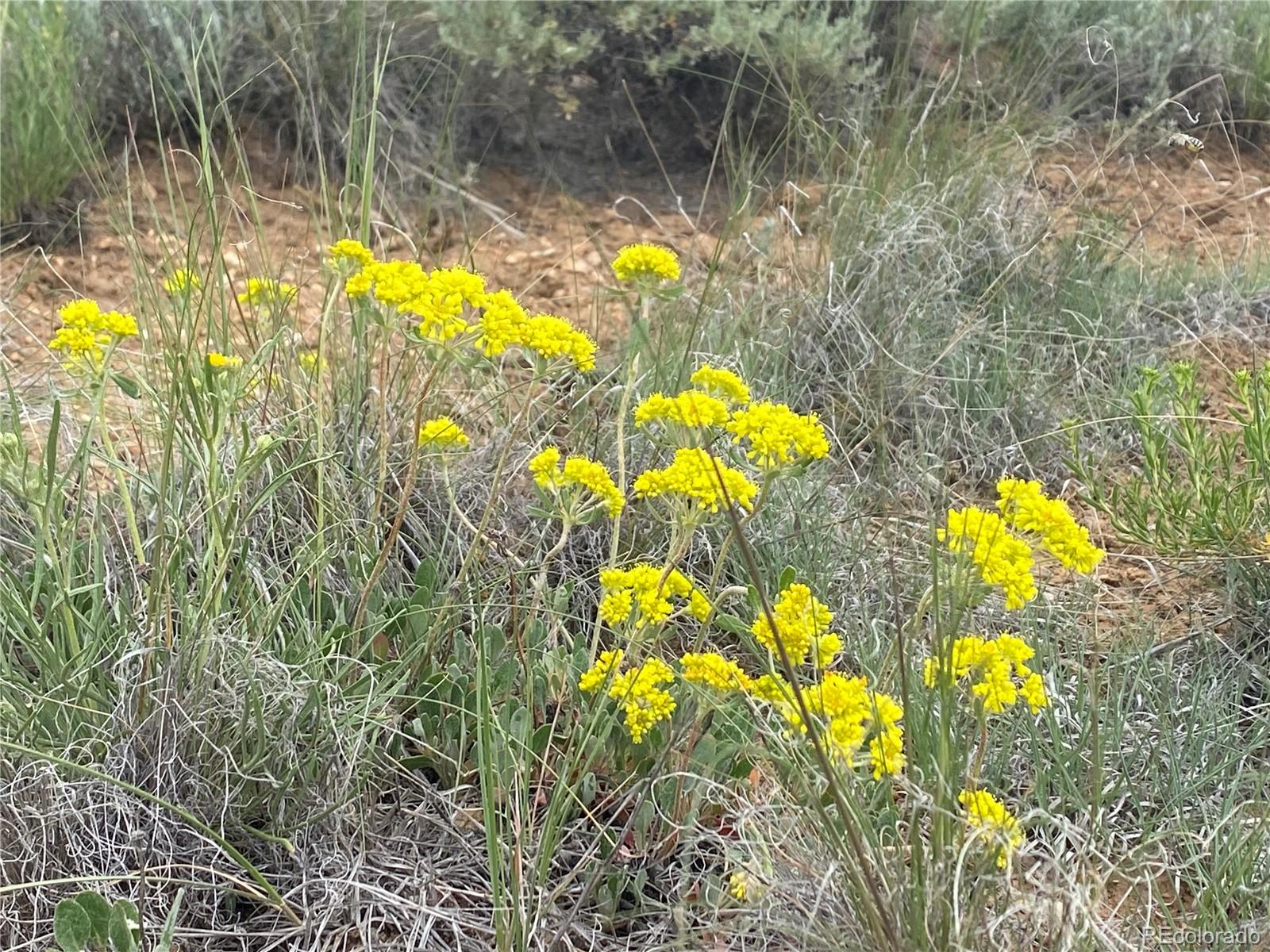 Decagon Loop, Parcel 12