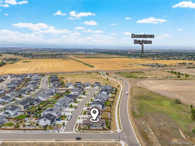 2977 Marsh Hawk Way
