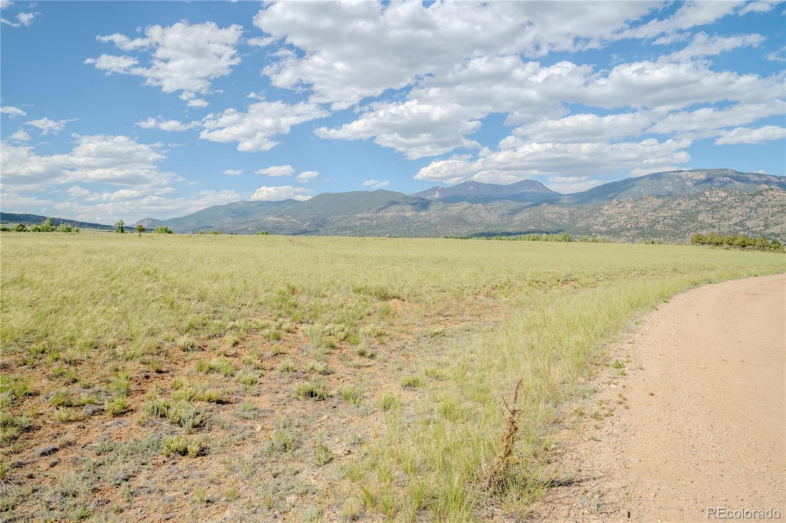 32230 County Road 361