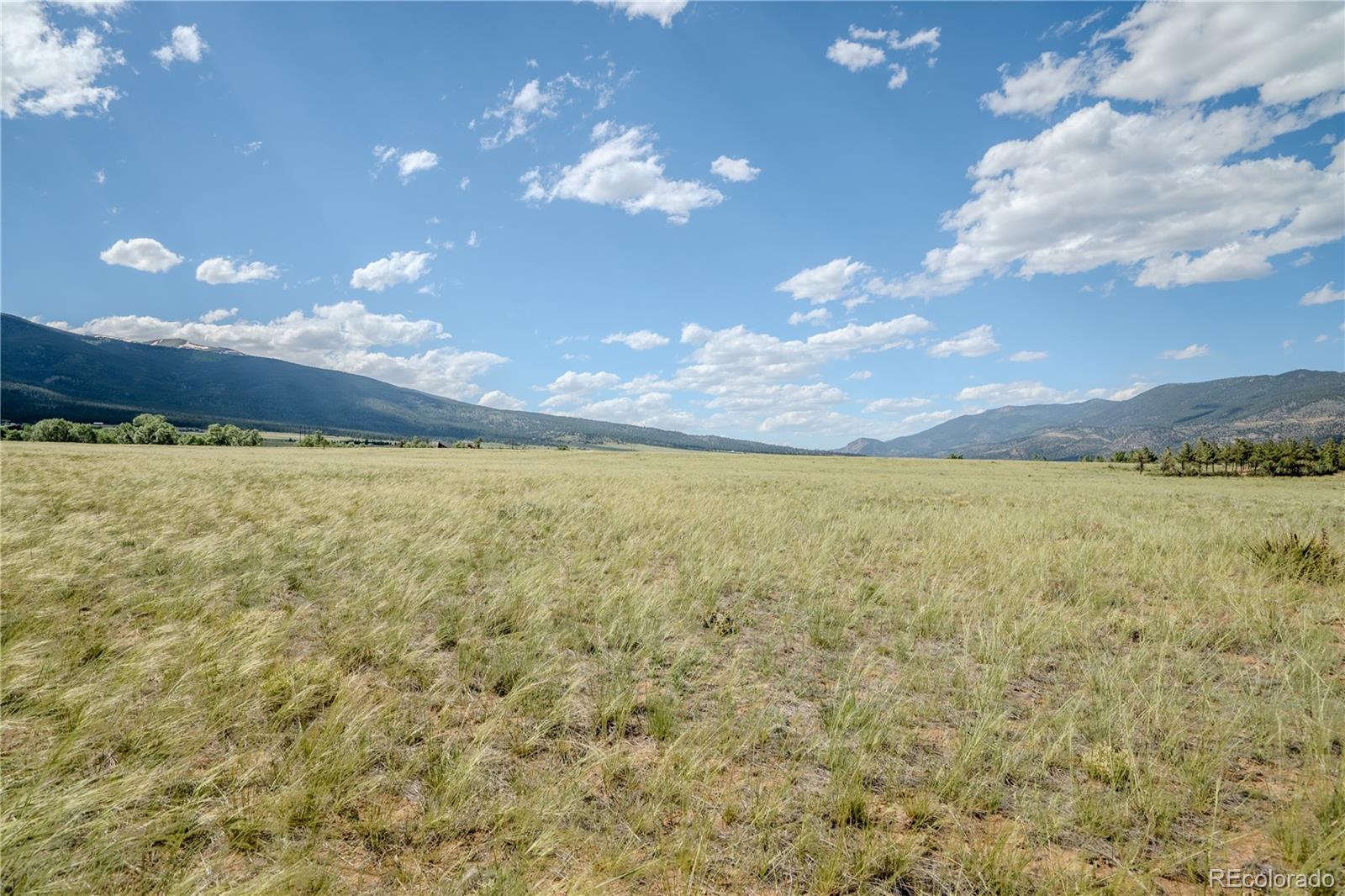 32230 County Road 361