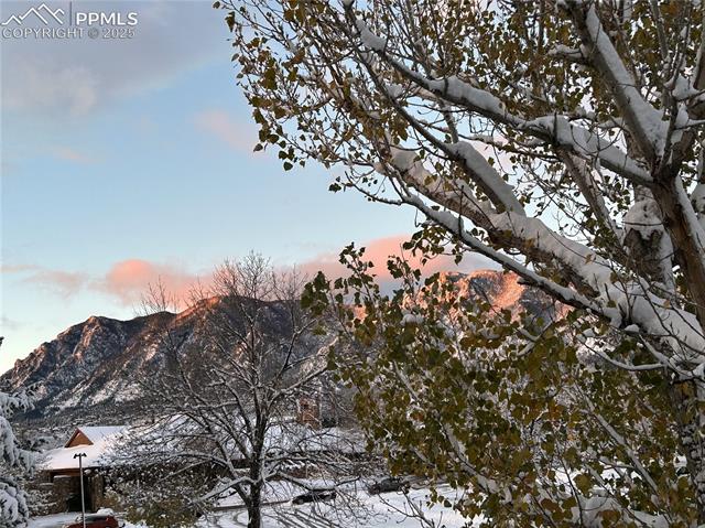 3131 Broadmoor Valley Road D