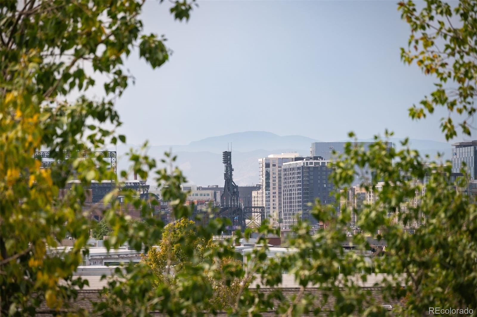 3101 Blake Street Unit: 401