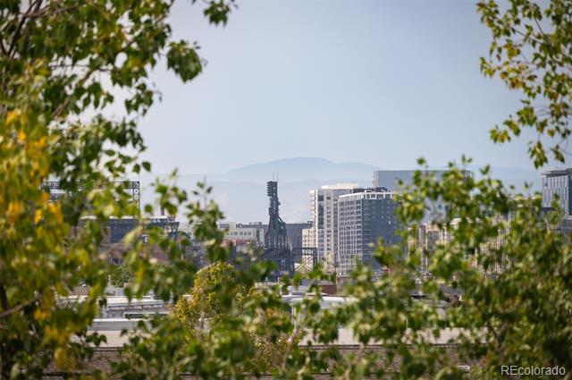 3101 Blake Street Unit: 401