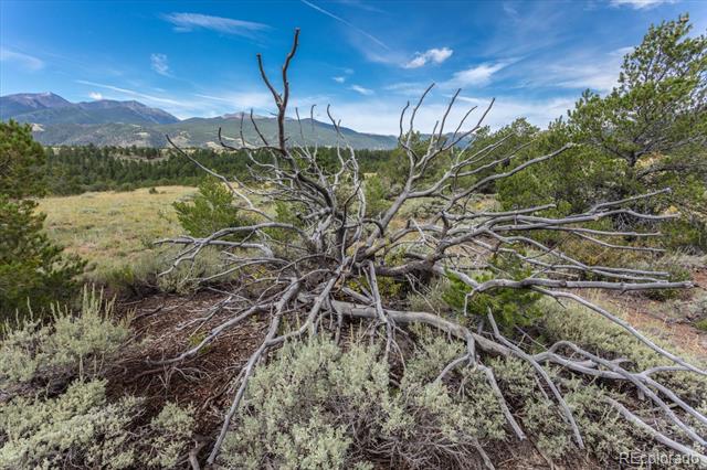 14730 Quartz Circle