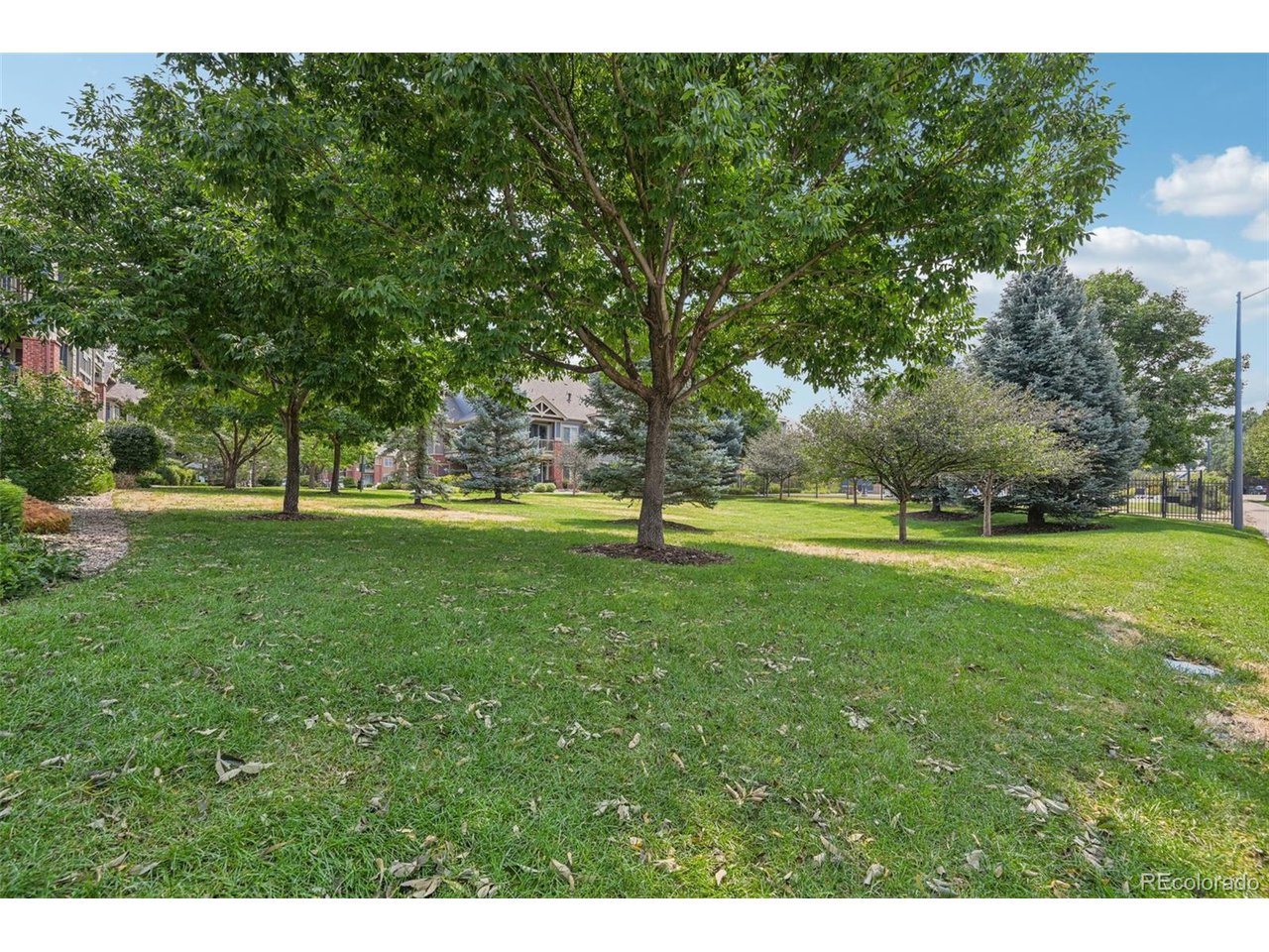 804 Summer Hawk Dr 2206