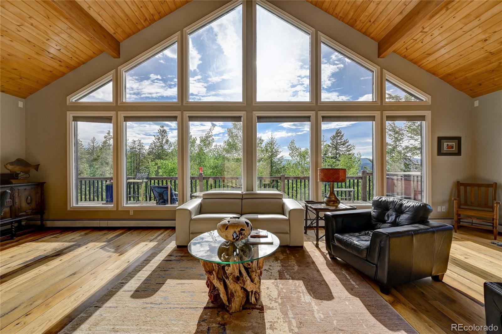 7904 Armadillo Trail