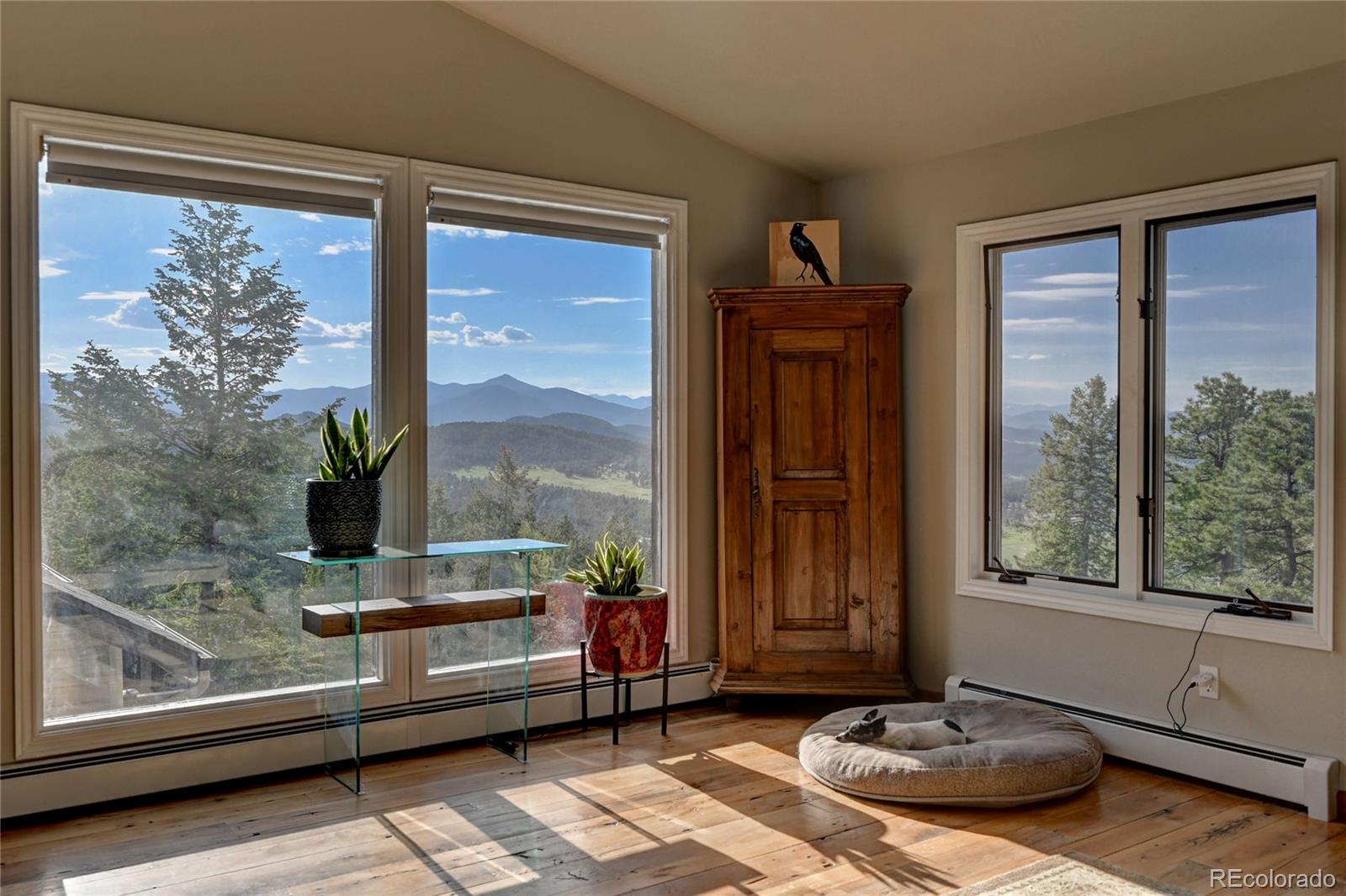 7904 Armadillo Trail