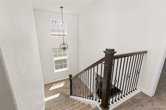 1908 Treetop Drive