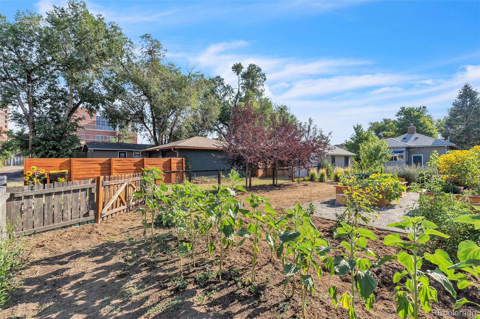 2118 N Tejon Street