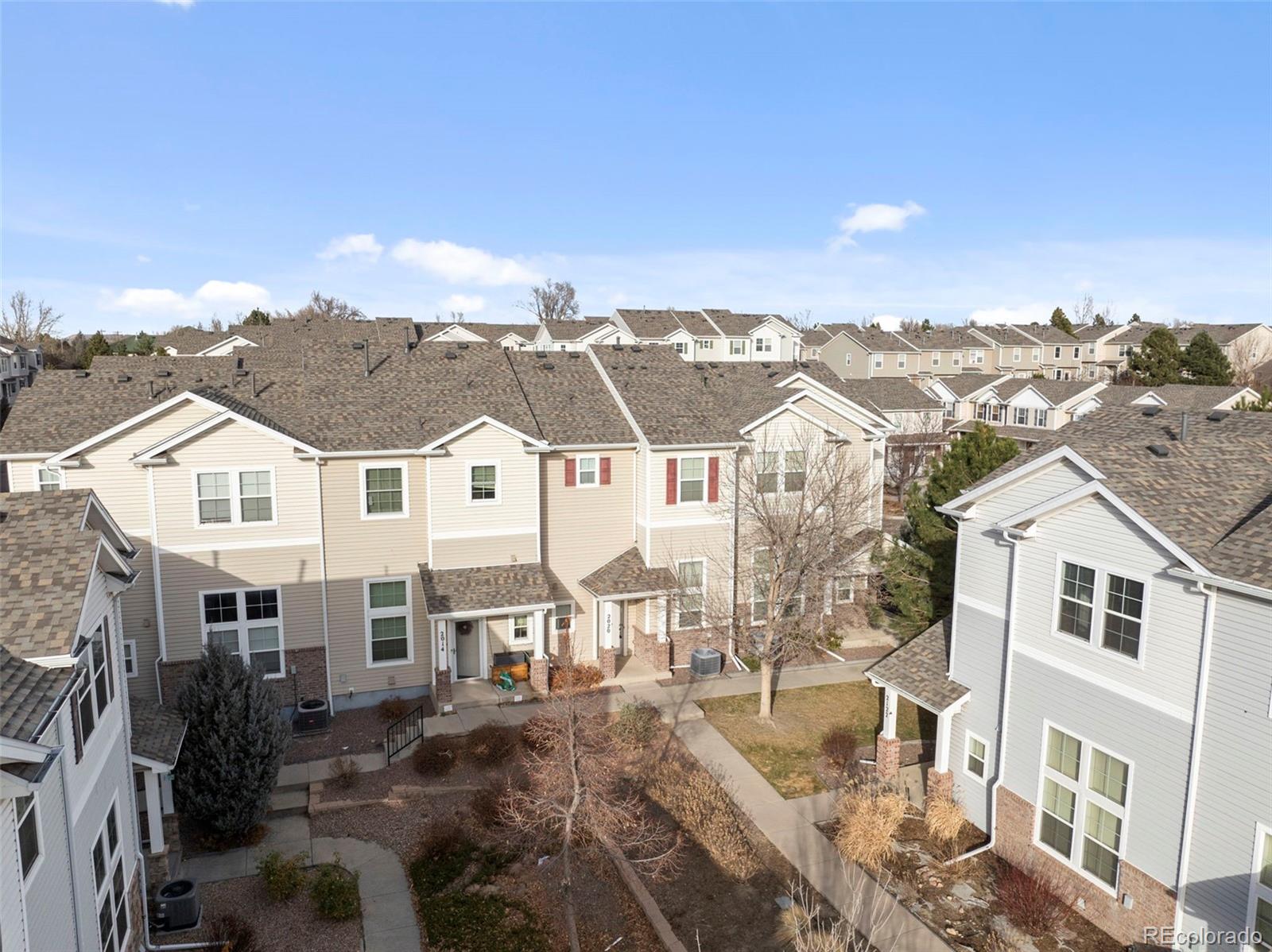 2020 Squawbush Ridge Grove