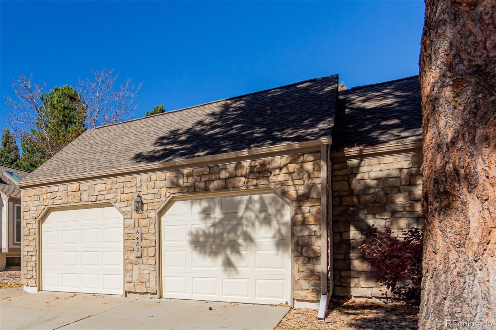 6485 S Forest Street