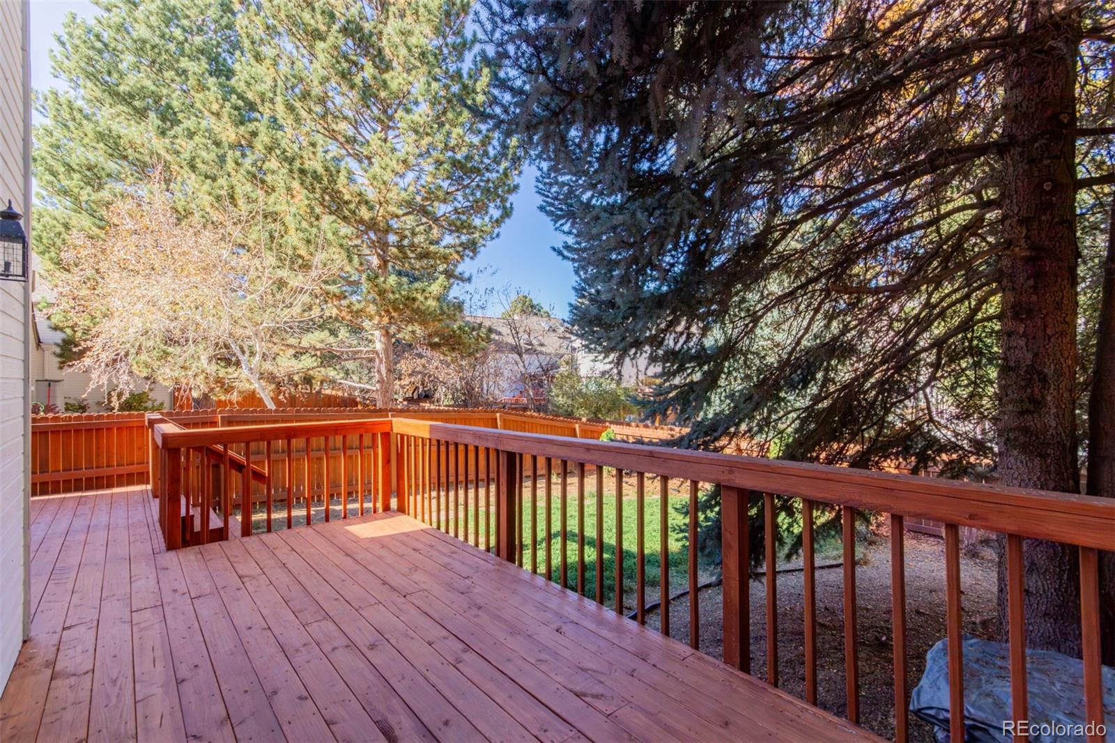 6485 S Forest Street