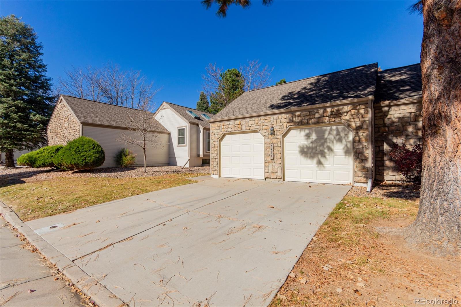 6485 S Forest Street