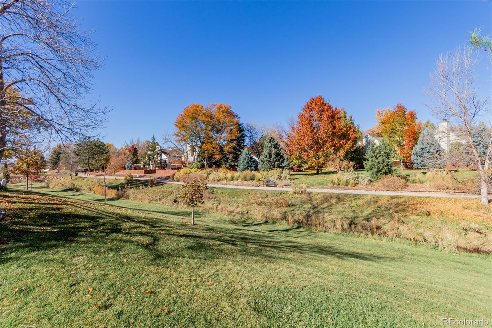 6485 S Forest Street