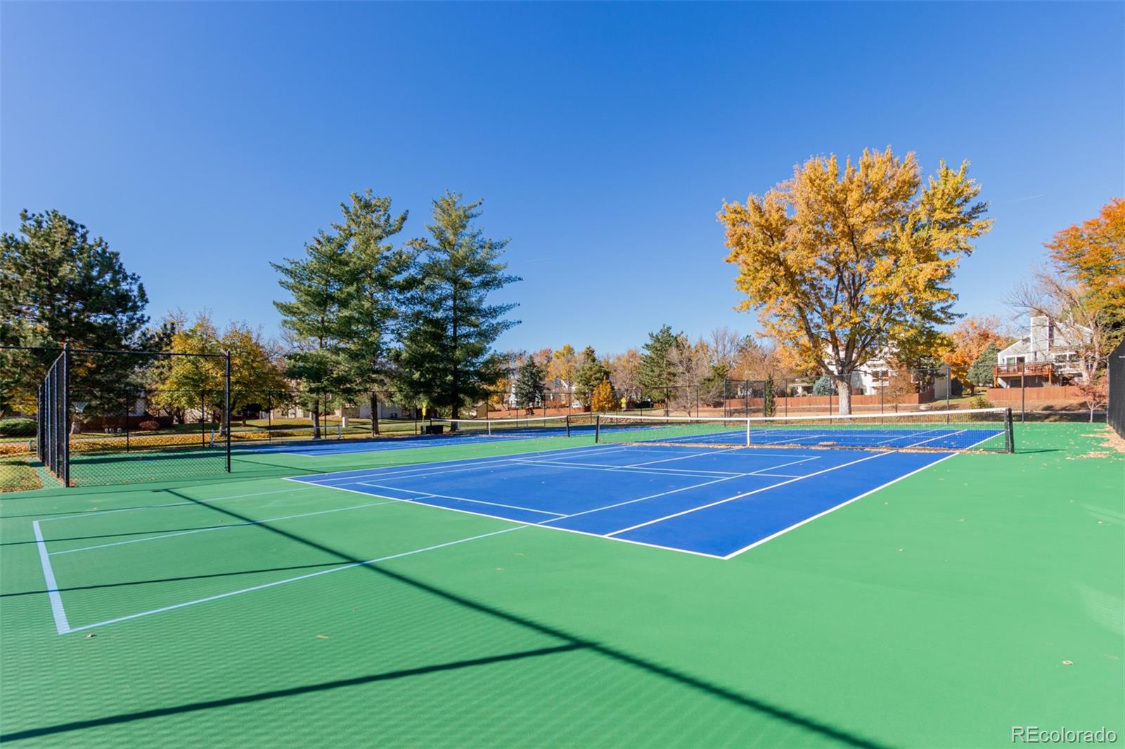 6485 S Forest Street