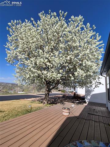 65 Pendelton Circle