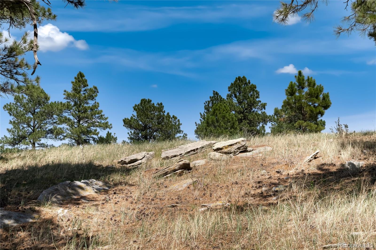 0 Remuda Trail