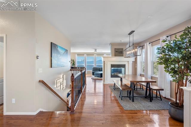 4071 Purple Plum Way