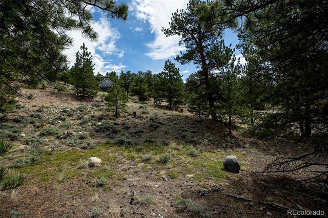 350 La Plata Peak Drive
