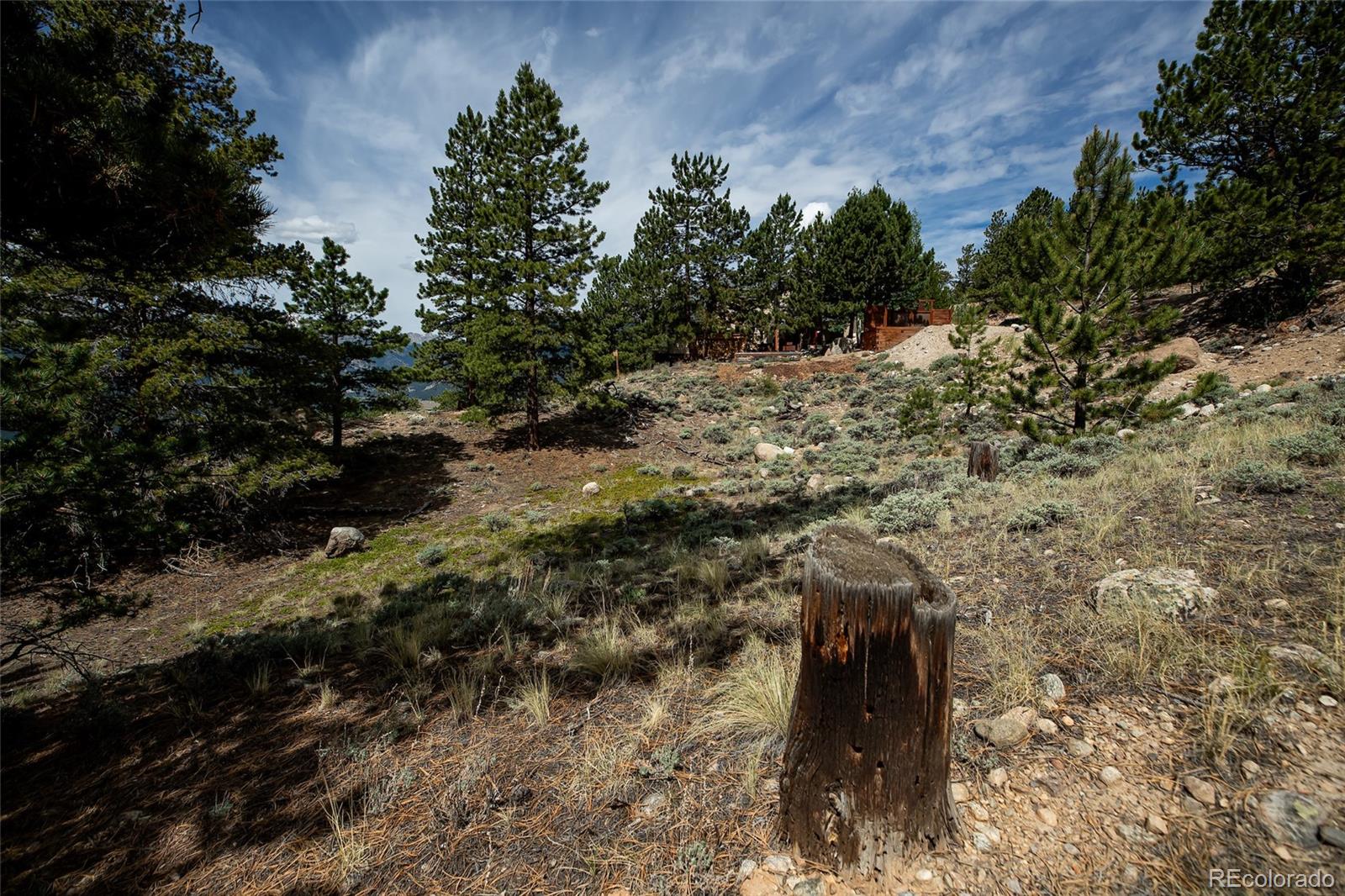 350 La Plata Peak Drive