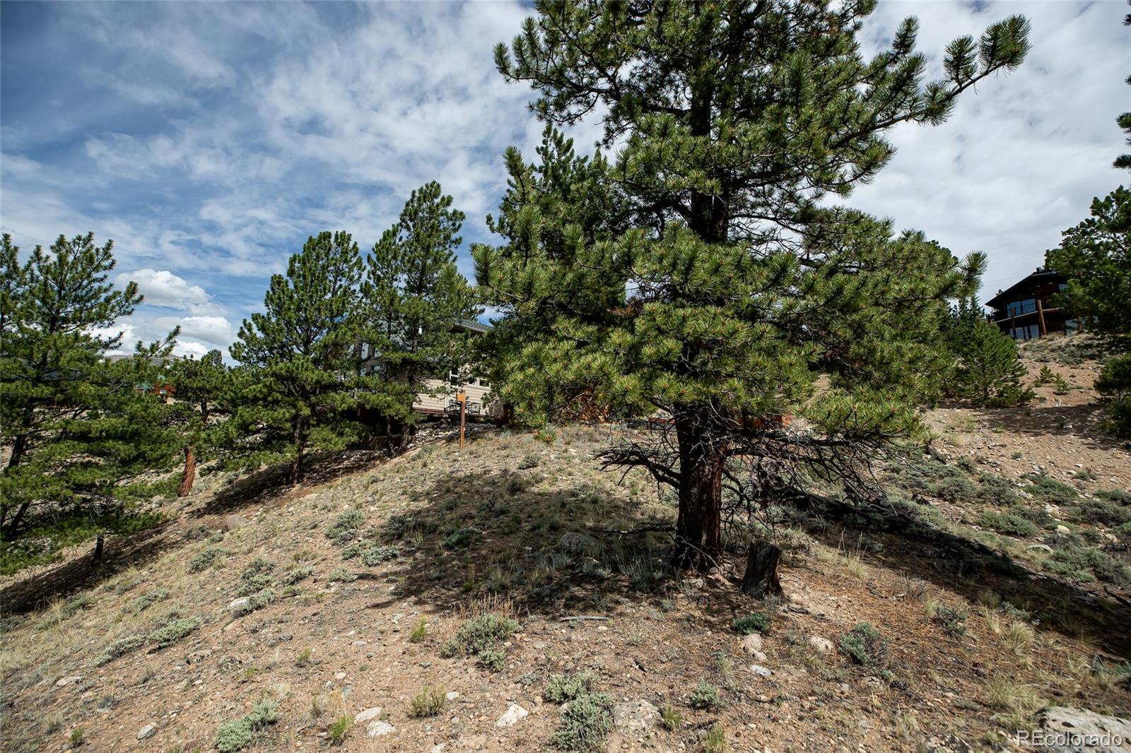 350 La Plata Peak Drive