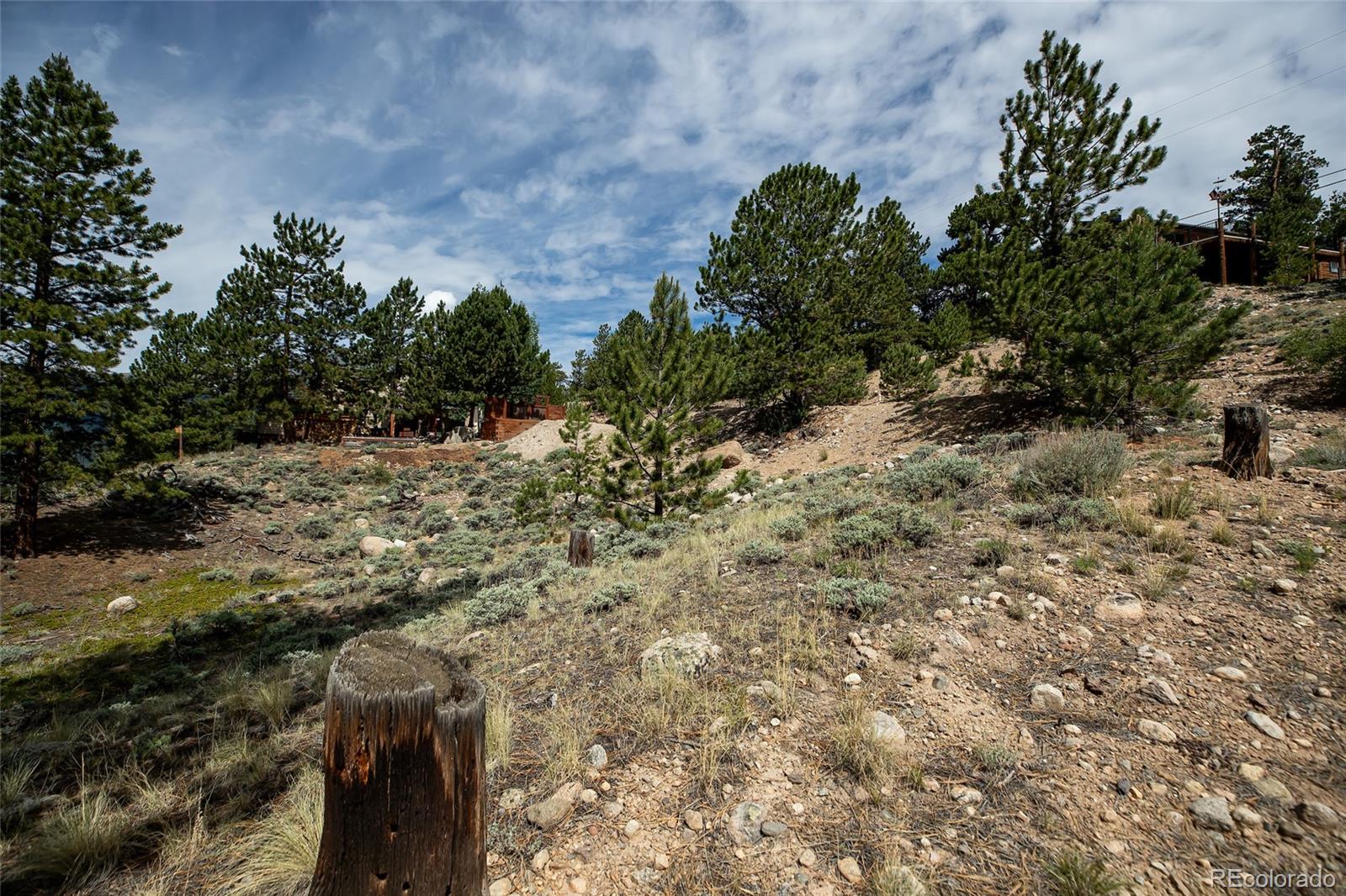 350 La Plata Peak Drive