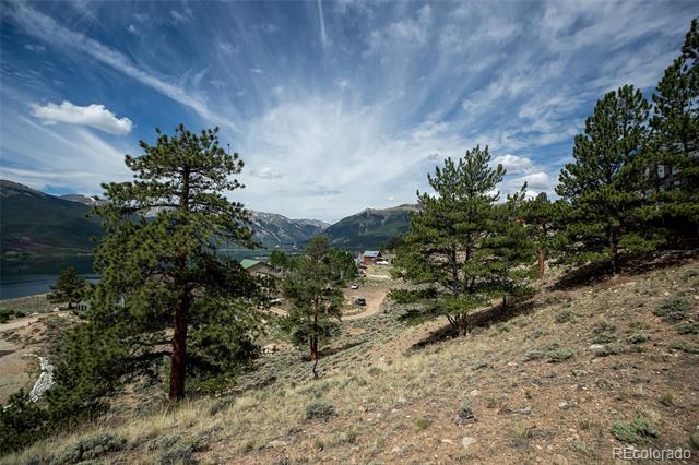 350 La Plata Peak Drive